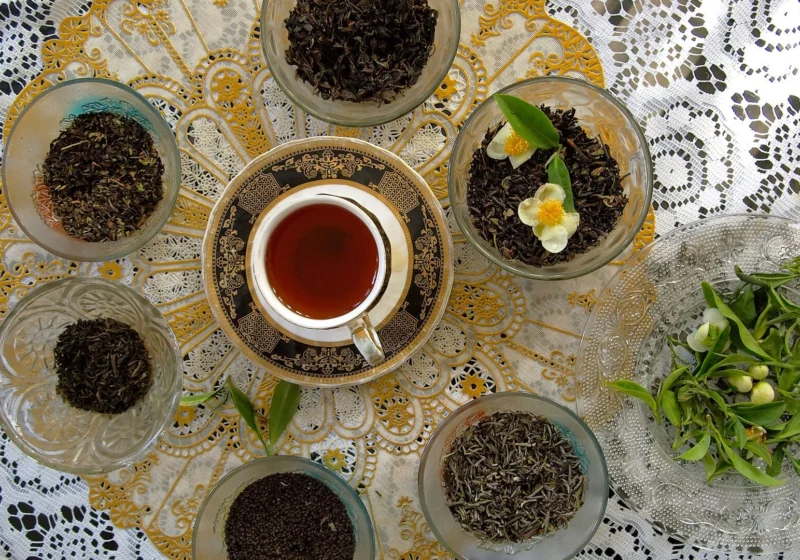 Glass bowls of different black teas around a cup of brewed tea