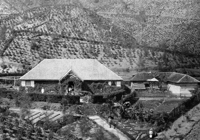 A planter's bungalow among planted slopes on a Ceylon estate, an albumen print from around 1880