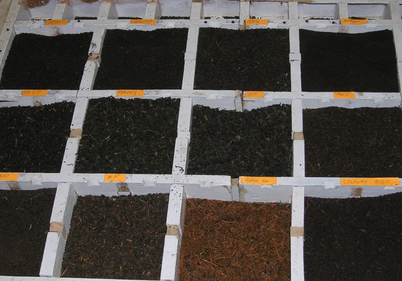 A tea factory sample case with compartments of different Ceylon tea grades