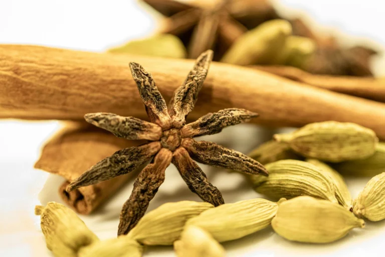 A cinnamon quill with green cardamom pods and a star anise