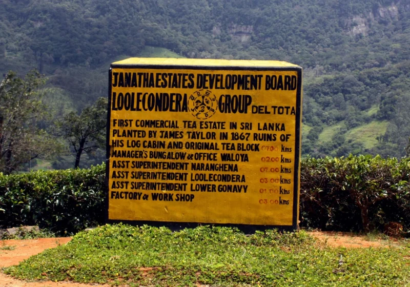 The Loolecondera estate nameboard: first commercial tea estate in Sri Lanka, planted by James Taylor in 1867